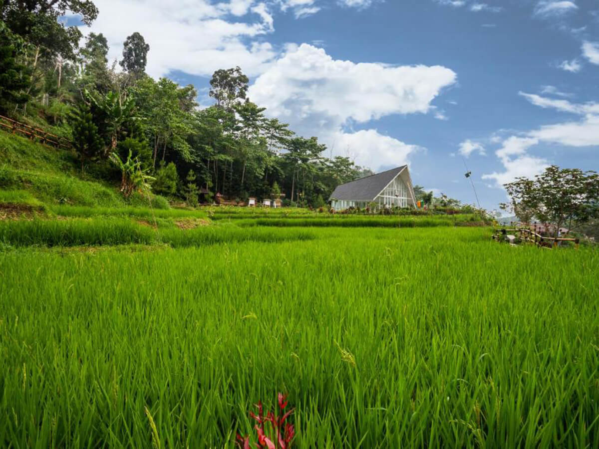 Le_Eminence_Puncak_Hotel_Convention_&_Resort_12
